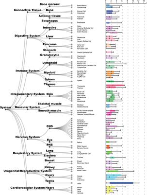 A Role of the TEX101 Interactome in the Common Aetiology Behind Male Subfertility and Testicular Germ Cell Tumor